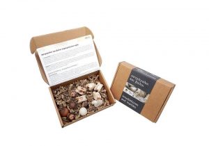 Ancient Greek Ceramic Marbles & Knucklebone Toys